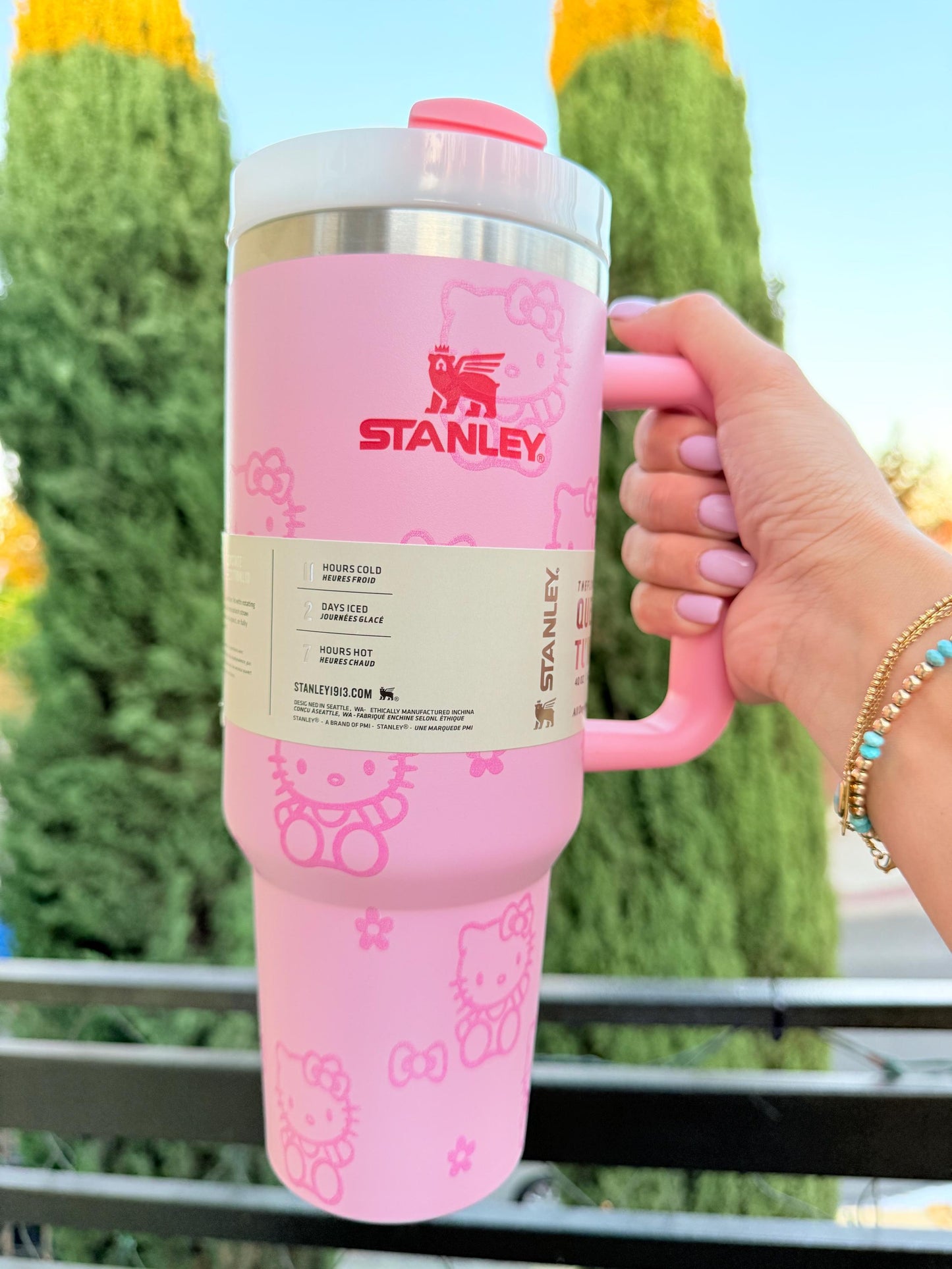 Hello Kitty Stanley Custom 40oz Tumbler: Kawaii Stainless Steel Cup - Pastel Pink