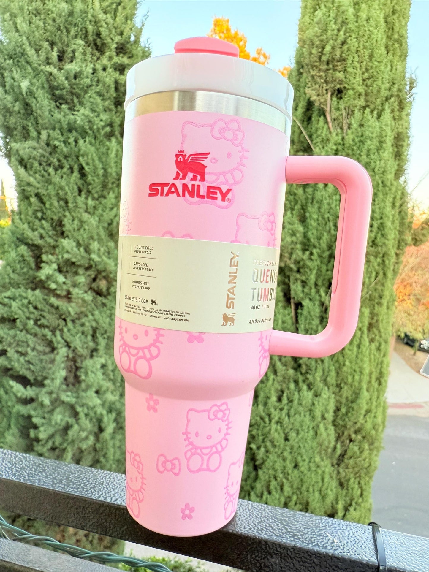 Hello Kitty Stanley Custom 40oz Tumbler: Kawaii Stainless Steel Cup - Pastel Pink